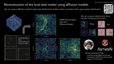 Reconstruction of the local dark matter using diffusion models
