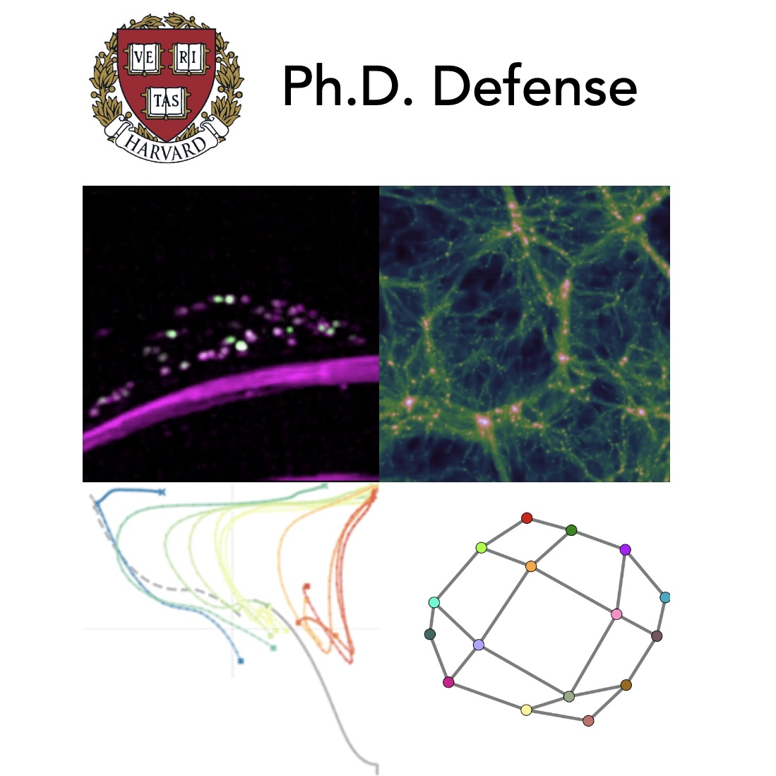 Deep Learning as a Scientific Tool and a Model Organism of Intelligence