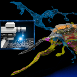 SmartEM: machine-learning guided electron microscopy