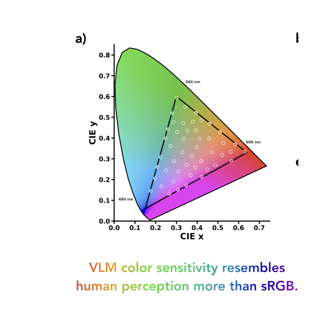 Vision Language Models Inherit Human Color Perception